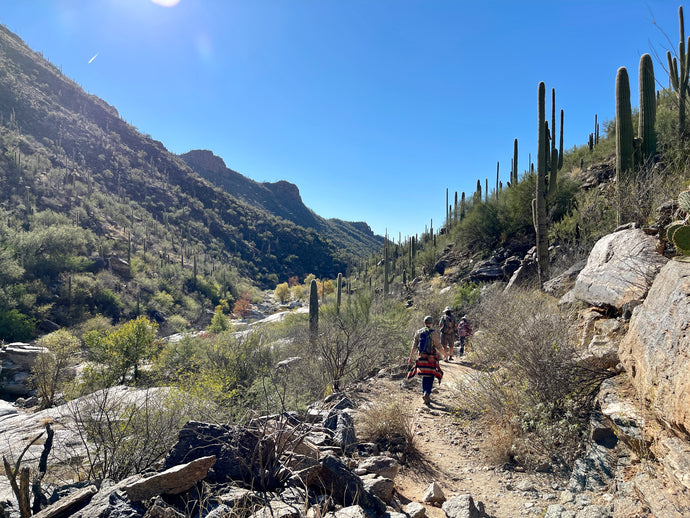December Art Hike Recap - Seven Falls, Sabino Canyon, Tucson, AZ