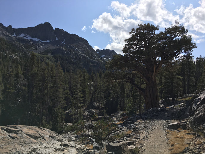 John Muir Trail - Week 4, Part 1 (Days 21-22)
