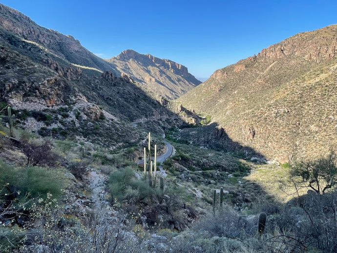 Phoneline Trail - Tucson, AZ