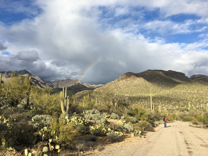 Blackett's Ridge, Tucson, AZ