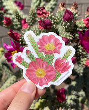 Load image into Gallery viewer, Vinyl sticker of a watercolor painting of a pink flowered staghorn cholla found in the Sonoran Desert