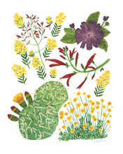 Load image into Gallery viewer, Sonoran Desert Wildflowers 01