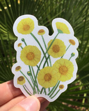 Load image into Gallery viewer, Vinyl sticker with desert marigold flowers in a watercolor design by Brushes and Boots