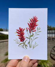 Load image into Gallery viewer, Greeting card with a watercolor Paintbrush flower on the front, showing red flowers and green leaves