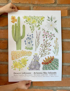 Photo of Desert Lifezone poster showing watercolor artwork of plants and flowers found in the Desert Lifezone of Arizona