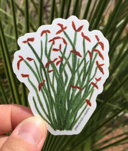 Load image into Gallery viewer, Vinyl sticker of a ocotillo plant with flowers painted in watercolor by Brushes and Boots