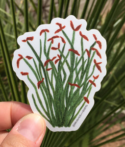 Vinyl sticker of a ocotillo plant with flowers painted in watercolor by Brushes and Boots
