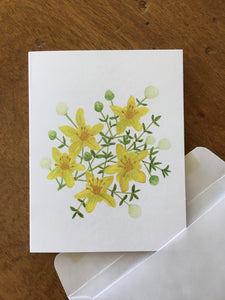Creosote bush watercolor design by Brushes and Boots on an A2 greeting card
