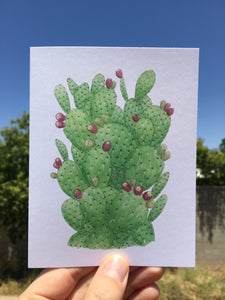 Image showing a single card in the Prickly Pear design.