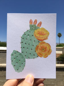 Image showing a single card in the Prickly Pear Bloom design.