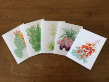Load image into Gallery viewer, Image shows five card designs: prickly pear with a yellow-orange bloom, prickly pear with fruit, an agave plant with yellow blooms, a desert willow tree bloom, and a red bird of paradise bloom.