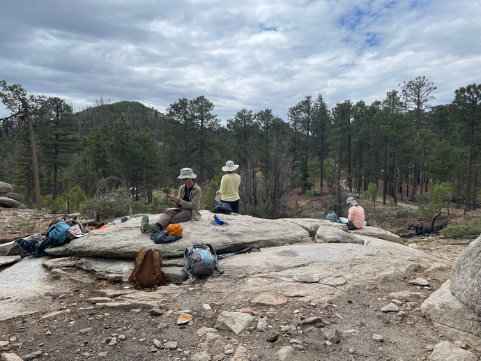 June Art Hike Recap - Marshall Gulch, Mt Lemmon, AZ