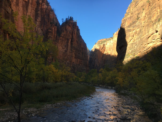 Zion! Day One, Part Two
