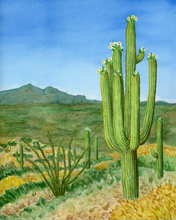 Load image into Gallery viewer, Blackett’s Ridge Saguaro