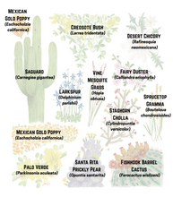 Load image into Gallery viewer, Desert Lifezone Print