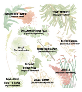 Grassland Lifezone Print