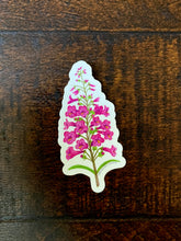 Load image into Gallery viewer, A sticker of a watercolor illustration of pink penstemon flower design on a dark wood table