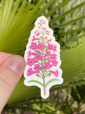 A hand holding a sticker of a pink penstemon flower with green leaves held against a blurred green leafy background