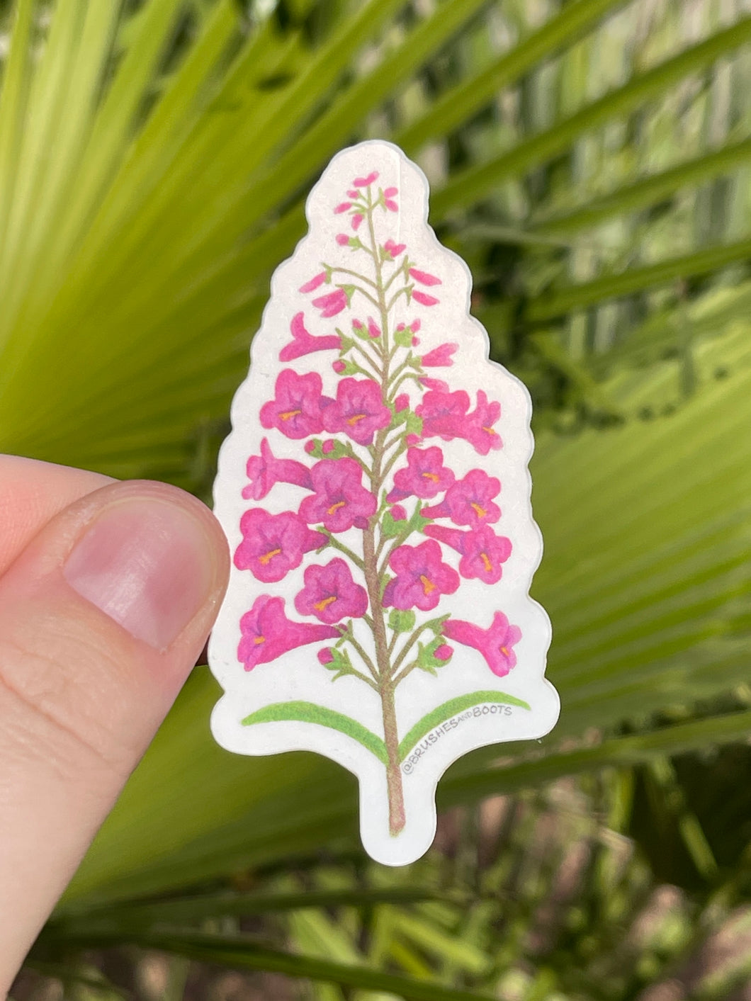 A hand holding a sticker of a pink penstemon flower with green leaves held against a blurred green leafy background