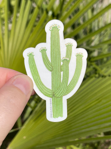 Saguaro-shaped sticker held by a hand with a green leafy background