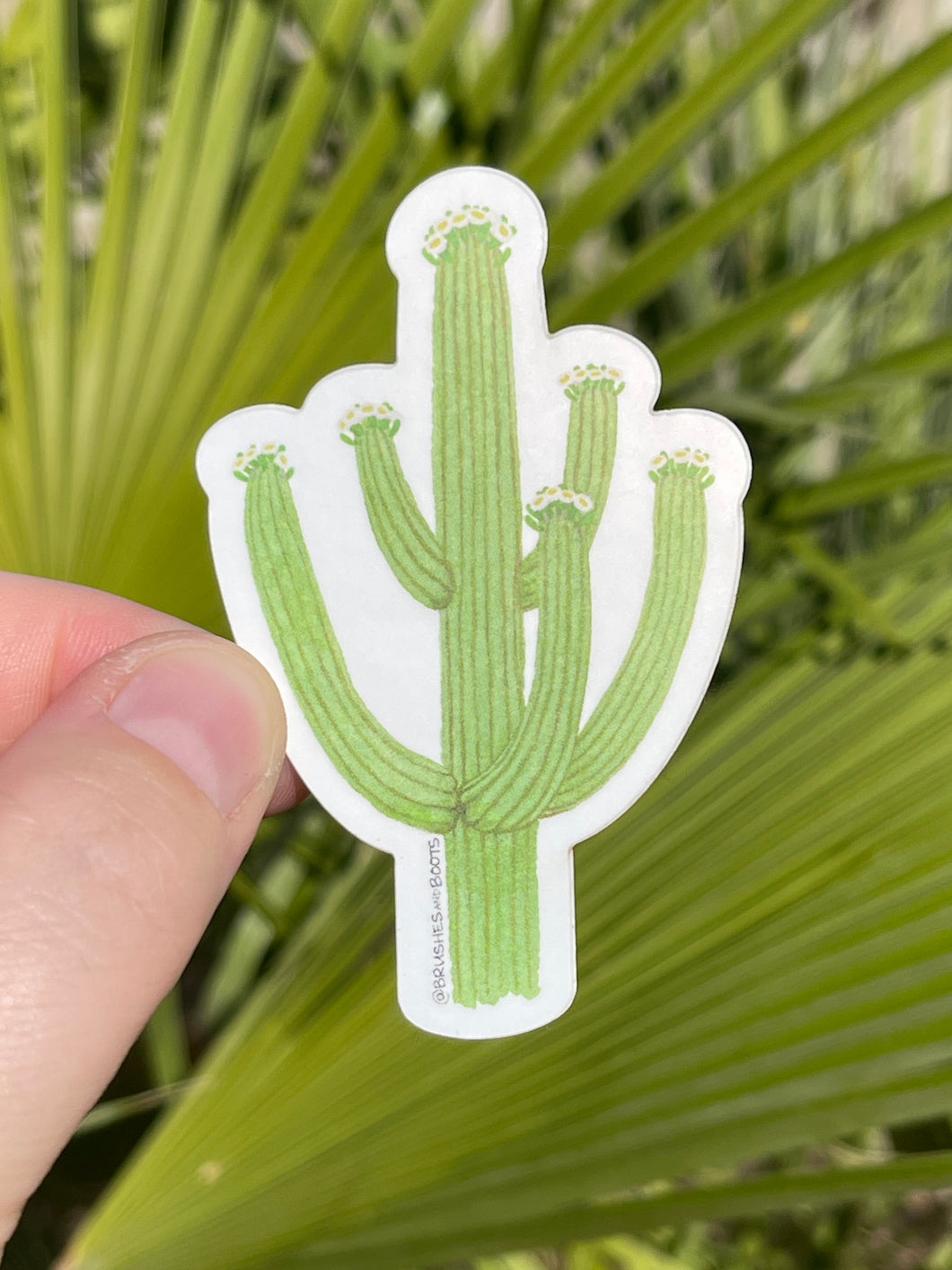 Saguaro-shaped sticker held by a hand with a green leafy background