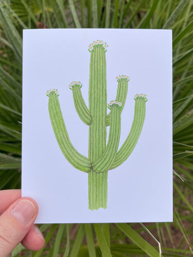 A hand holding a white card with a watercolor illustration of a green saguaro with 5 arms and white blooms, with a green leafy background