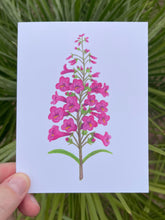 Load image into Gallery viewer, A hand holding a card with a watercolor illustration of a pink penstemon flower with green leaves held in front of green foliage
