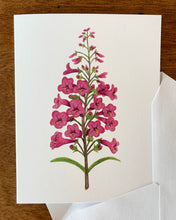 Load image into Gallery viewer, Penstemon Greeting Card