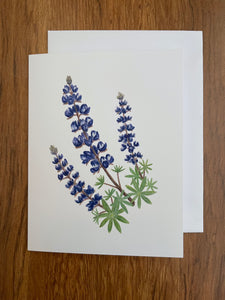 Lupine Greeting Card