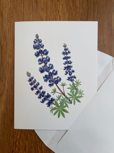 Lupine Greeting Card