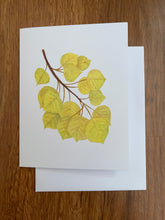 Load image into Gallery viewer, Quaking Aspen Greeting Card