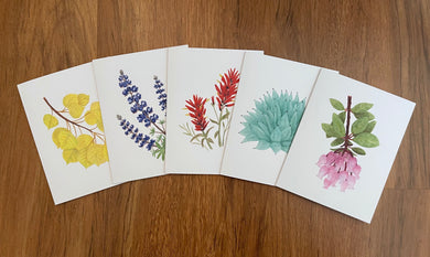 Arizona Sky Islands Collection #1 - Greeting Cards (Set of 5)