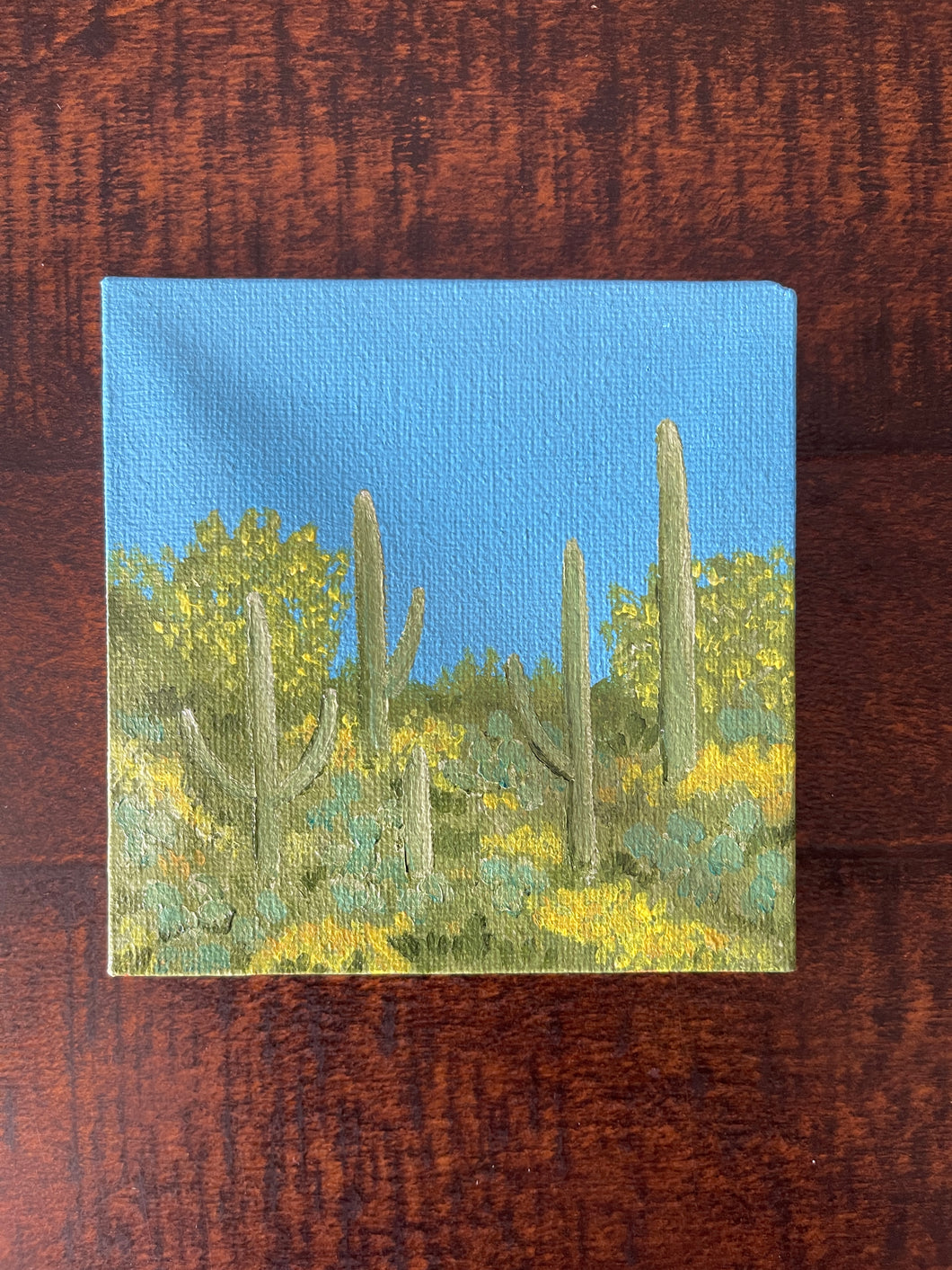 Saguaros on the Ridge