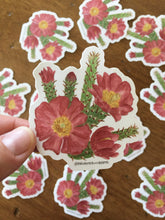 Load image into Gallery viewer, Staghorn Cholla Vinyl Sticker