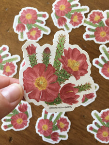 Staghorn Cholla Vinyl Sticker