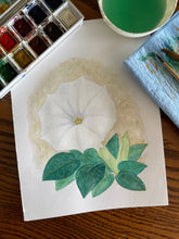 Load image into Gallery viewer, The original watercolor painting of a white sacred datura flower with green leaves. The flower is in the center of the painting and is surrounded by leaves. The background is a light brown table. Sitting next to the painting is a watercolor palette, paintbrushes, and a cup of water.