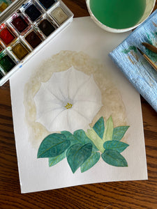 The original watercolor painting of a white sacred datura flower with green leaves. The flower is in the center of the painting and is surrounded by leaves. The background is a light brown table. Sitting next to the painting is a watercolor palette, paintbrushes, and a cup of water.