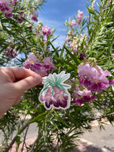 Load image into Gallery viewer, Hand holding a desert willow bloom sticker next to a real desert willow tree showing how similar the artwork looks to the real flower