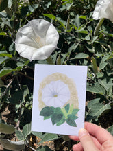 Load image into Gallery viewer, Hand holding a sacred datura greeting card next to a real sacred datura flower showing how similar the artwork looks to the real flower