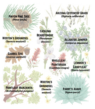 Load image into Gallery viewer, Woodland Lifezone Print