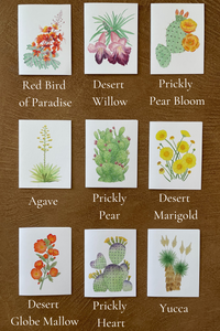 Desert Collection Mix & Match - Greeting Cards (Pick your own pack)