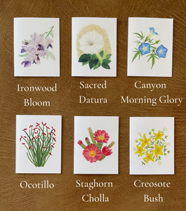 Desert Collection Mix & Match - Greeting Cards (Pick your own pack)