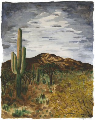 Desert Scene 01