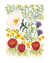 Load image into Gallery viewer, Sonoran Desert Wildflowers 02