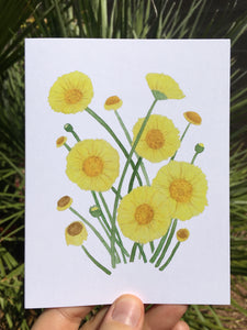 Desert Marigold Greeting Card