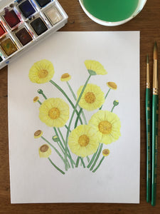 Desert Marigold Greeting Card