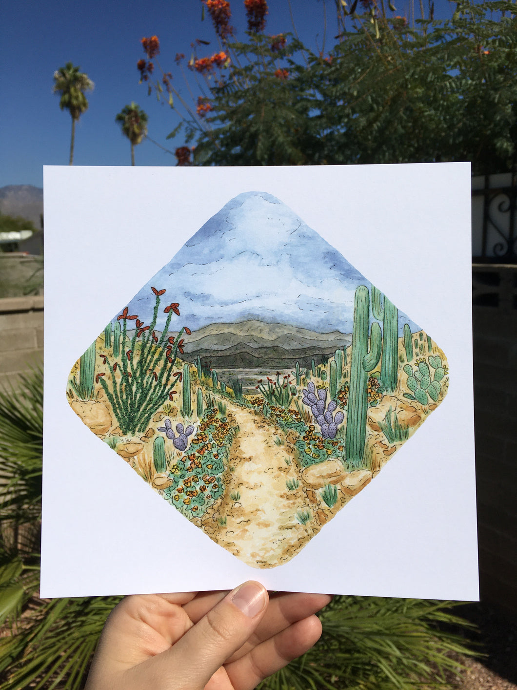 Sonoran Desert (Kula Cloth Design)