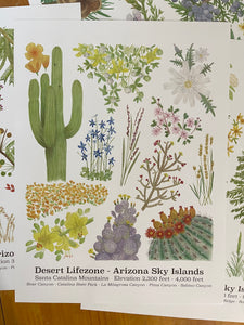 Desert Lifezone Poster