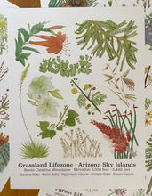 Load image into Gallery viewer, Grassland Lifezone Poster