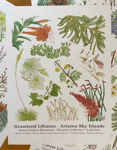 Grassland Lifezone Poster